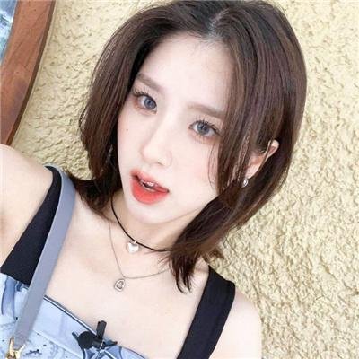 我的蠢老板