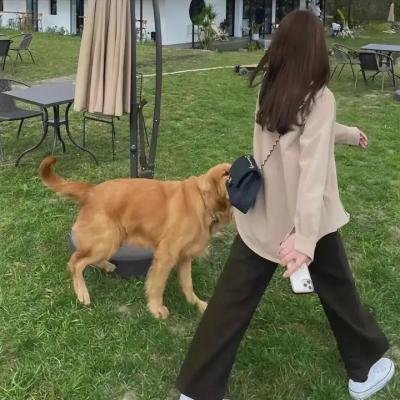 阿嬷的小学堂